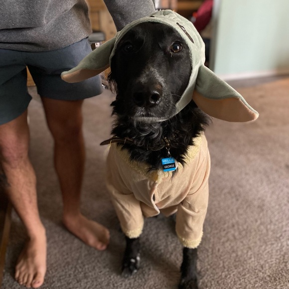 George & Luke 🖤💛 - Picture 3 of 8